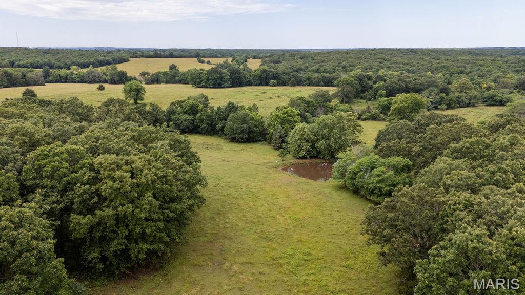 30-ac South 220th Road Half Way, MO 65663 - Photo 33 of 49