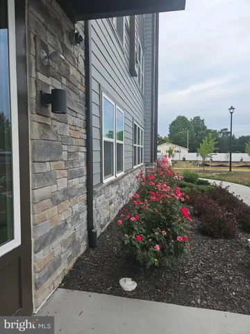 a view of a potted flower in the corridor