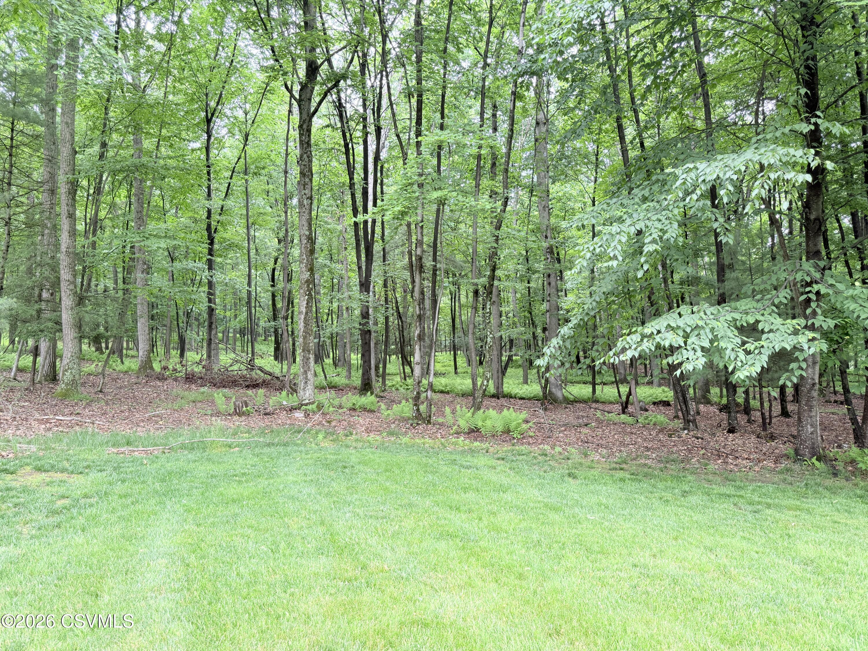 24 Oak Road Orangeville, PA 17859 - Photo 44 of 54