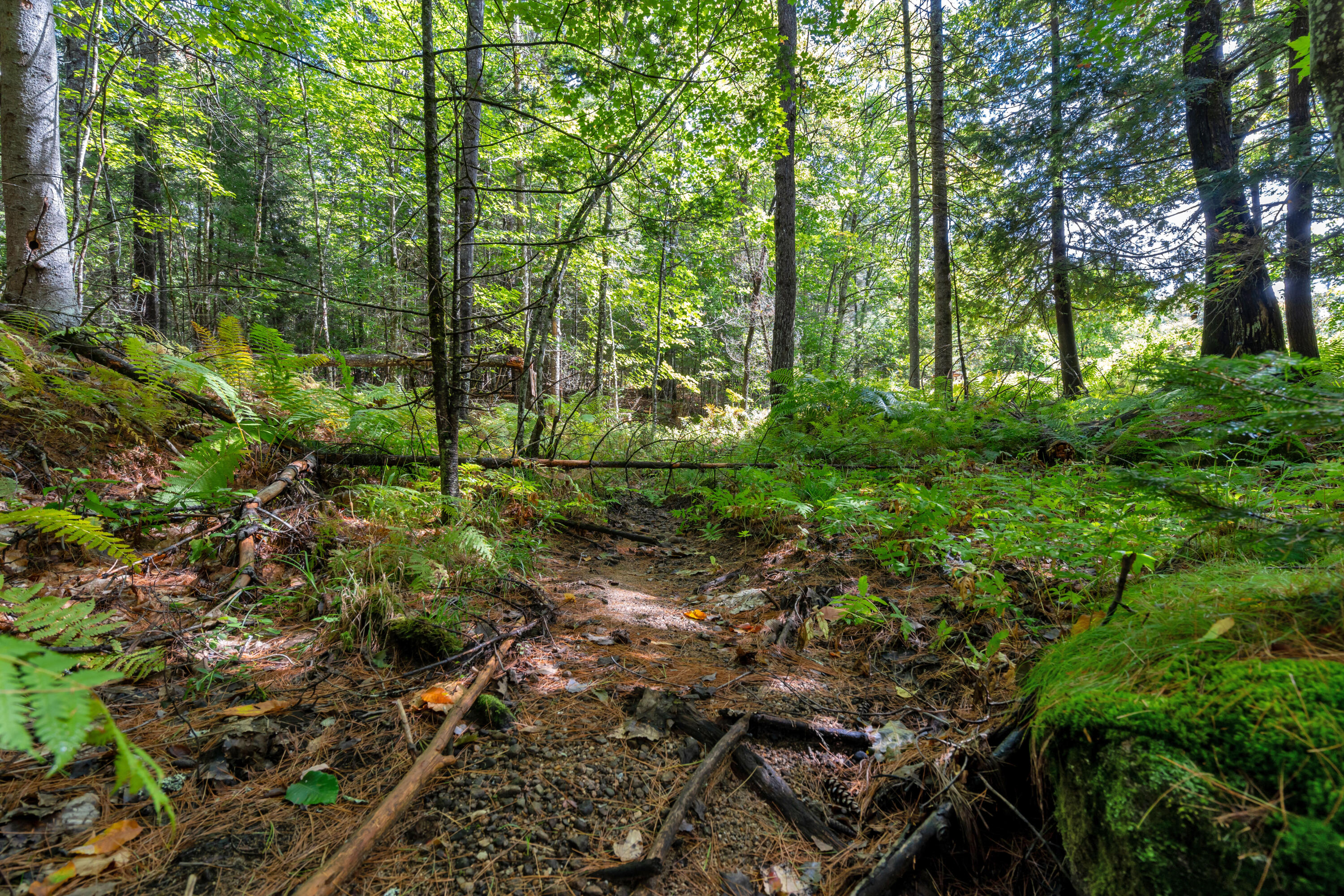 683 Waterford Road Norway, ME 04268 - Photo 63 of 72 DSC05512