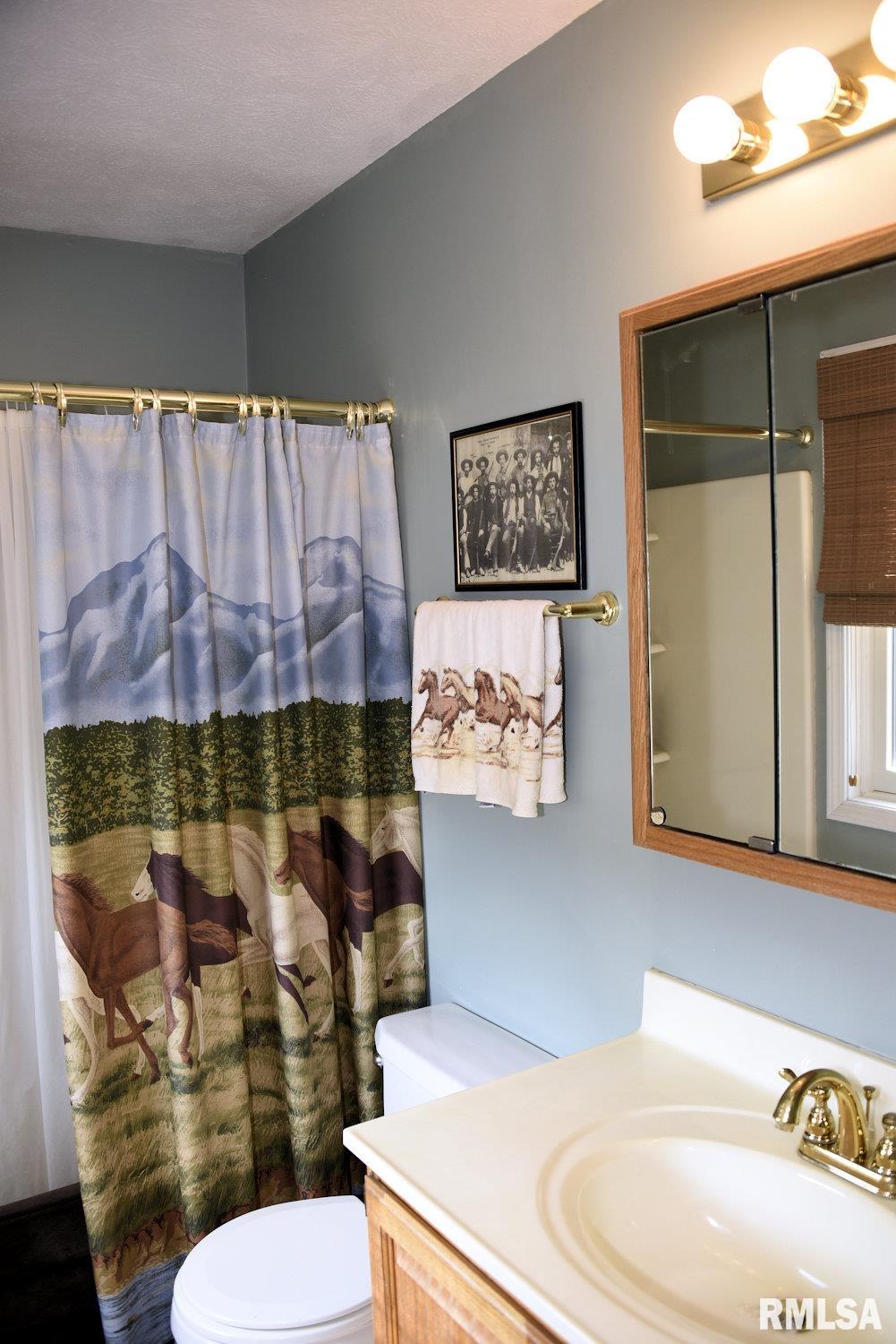 10790 Salisbury Road Pleasant Plains, IL 62677 - Photo 28 of 47 Gallery Image 28