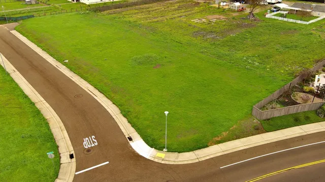 a view of a swimming pool with a garden and trees