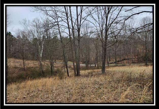 0 Metheny Fairplay Road, Unit TRACT 1) Vinton, OH 45686 - Photo 26 of 41 image025