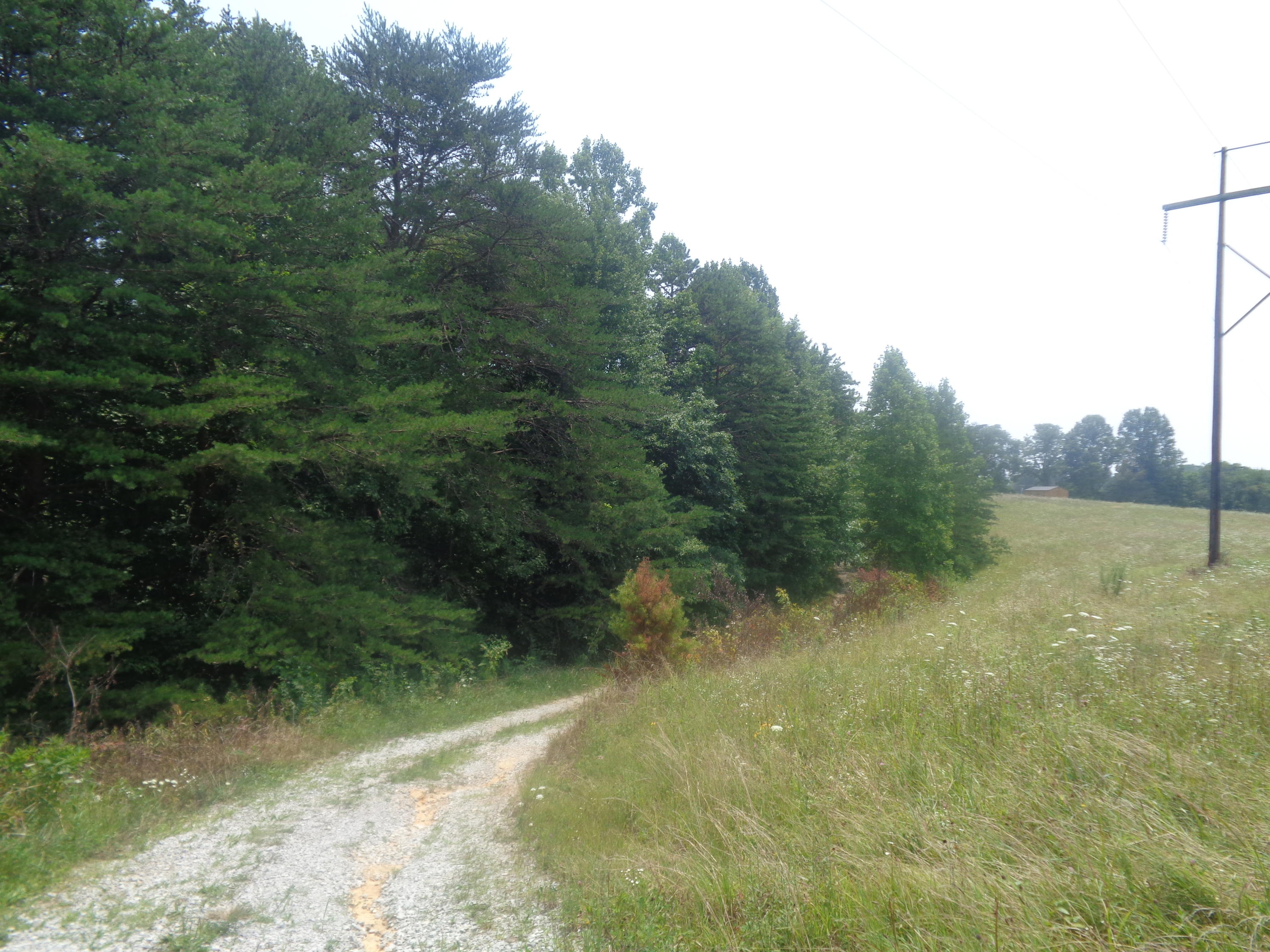 1468 County Farm Road London, KY 40741 - Photo 13 of 26 DSC05465