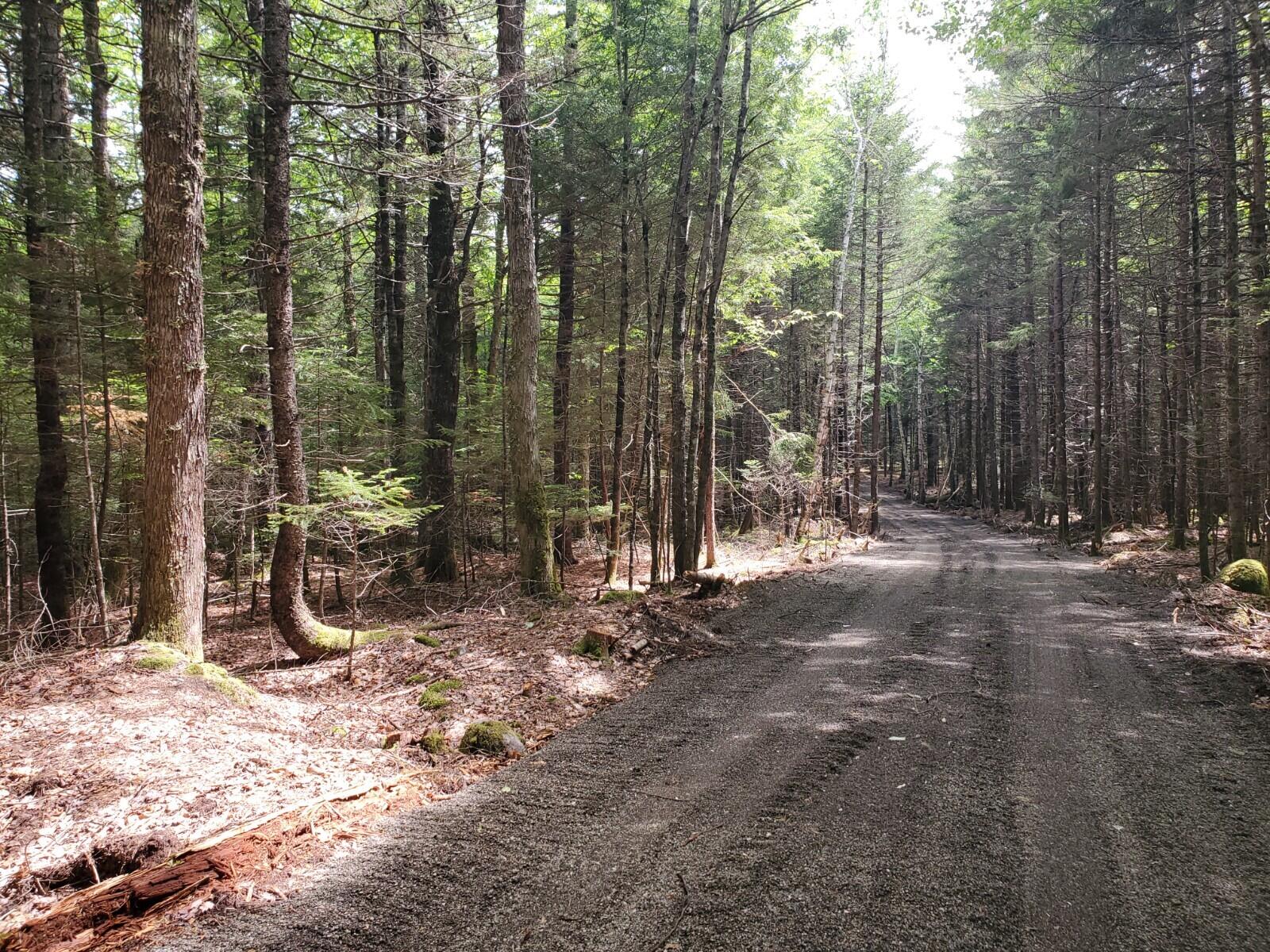 Lot # Carlow Road Wesley, ME 04686 - Photo 1 of 5 20210604_133507