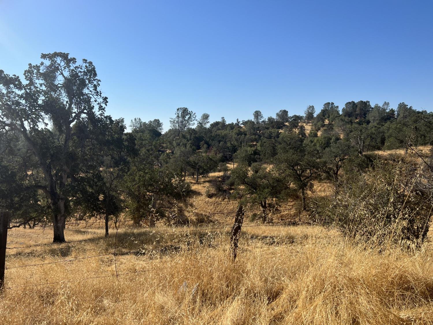 0 Butterfield Stage Road O'Neals, CA 93645 - Photo 3 of 4 Gallery Image 3
