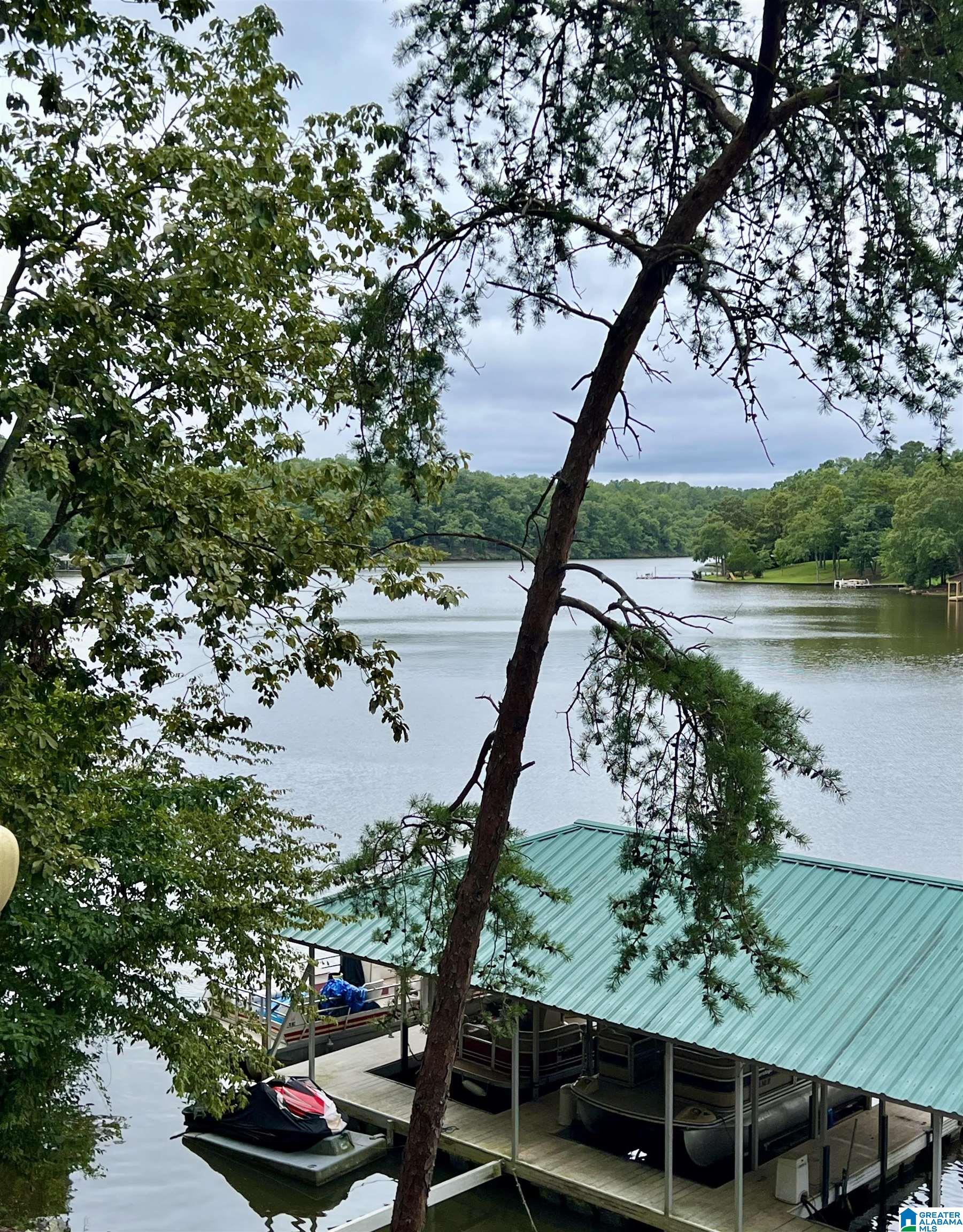 219 Pleasure Point, Unit B4 Wedowee, AL 36278 - Photo 5 of 71