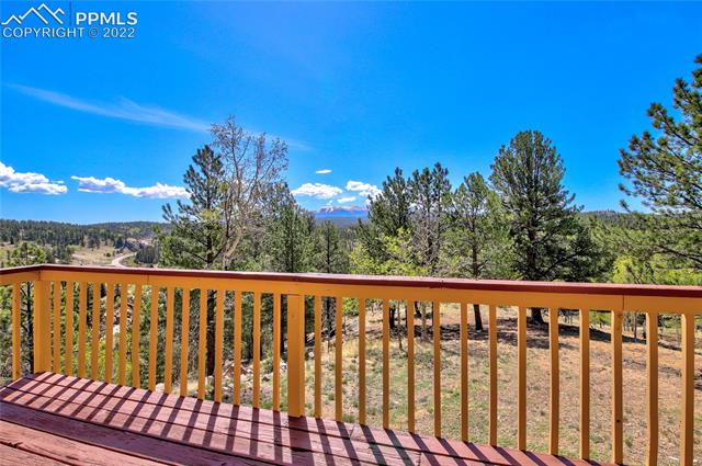 288 Berylium Road Florissant, CO 80816 - Photo 20 of 25