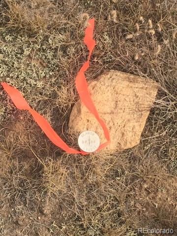 1652 Arrowhead Drive Como, CO 80432 - Photo 10 of 11