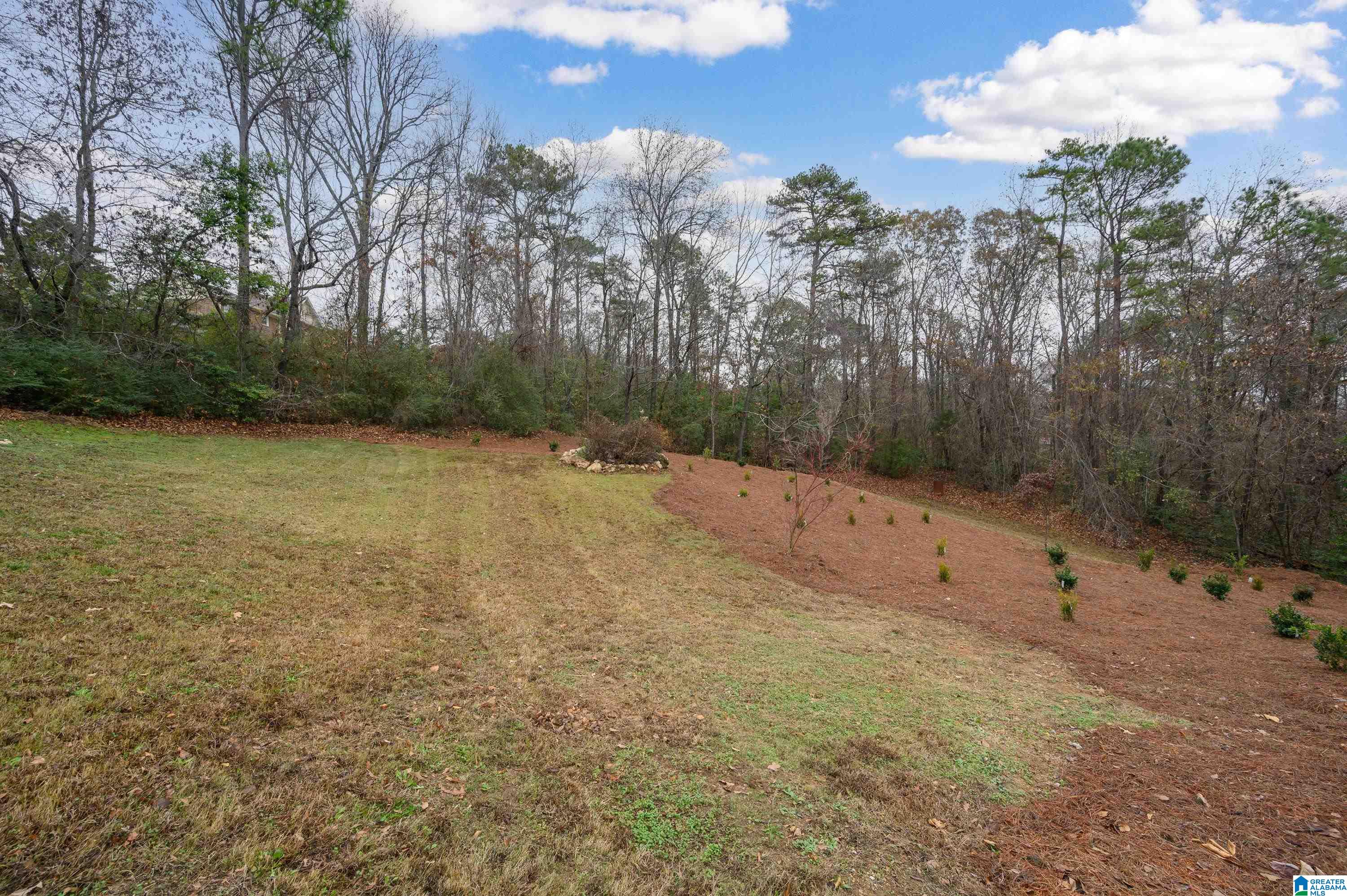 4704 Chippewa Lane Pelham, AL 35124 - Photo 50 of 53