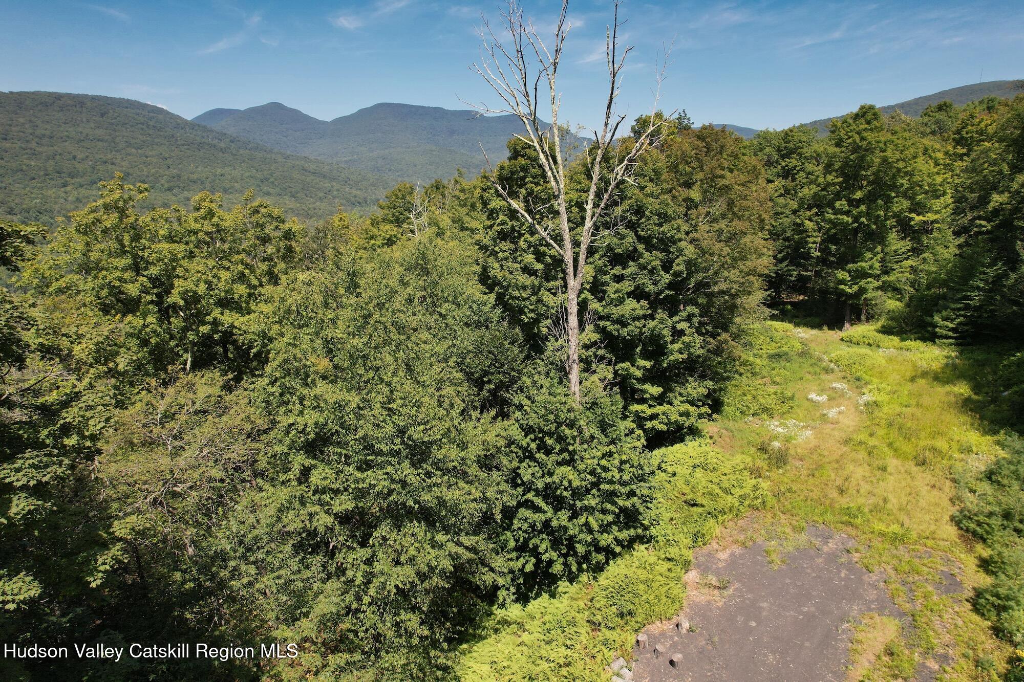 Tbd Macdaniel Road Woodstock, NY 12498 - Photo 12 of 17 a view of a lush green forest with mountains in the background