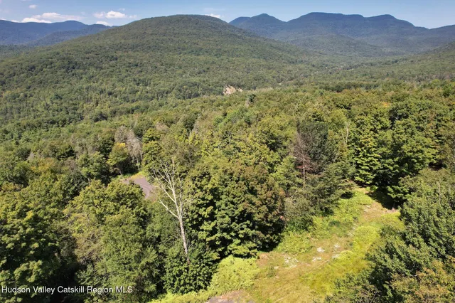 a view of a lush green hillside and a mountain