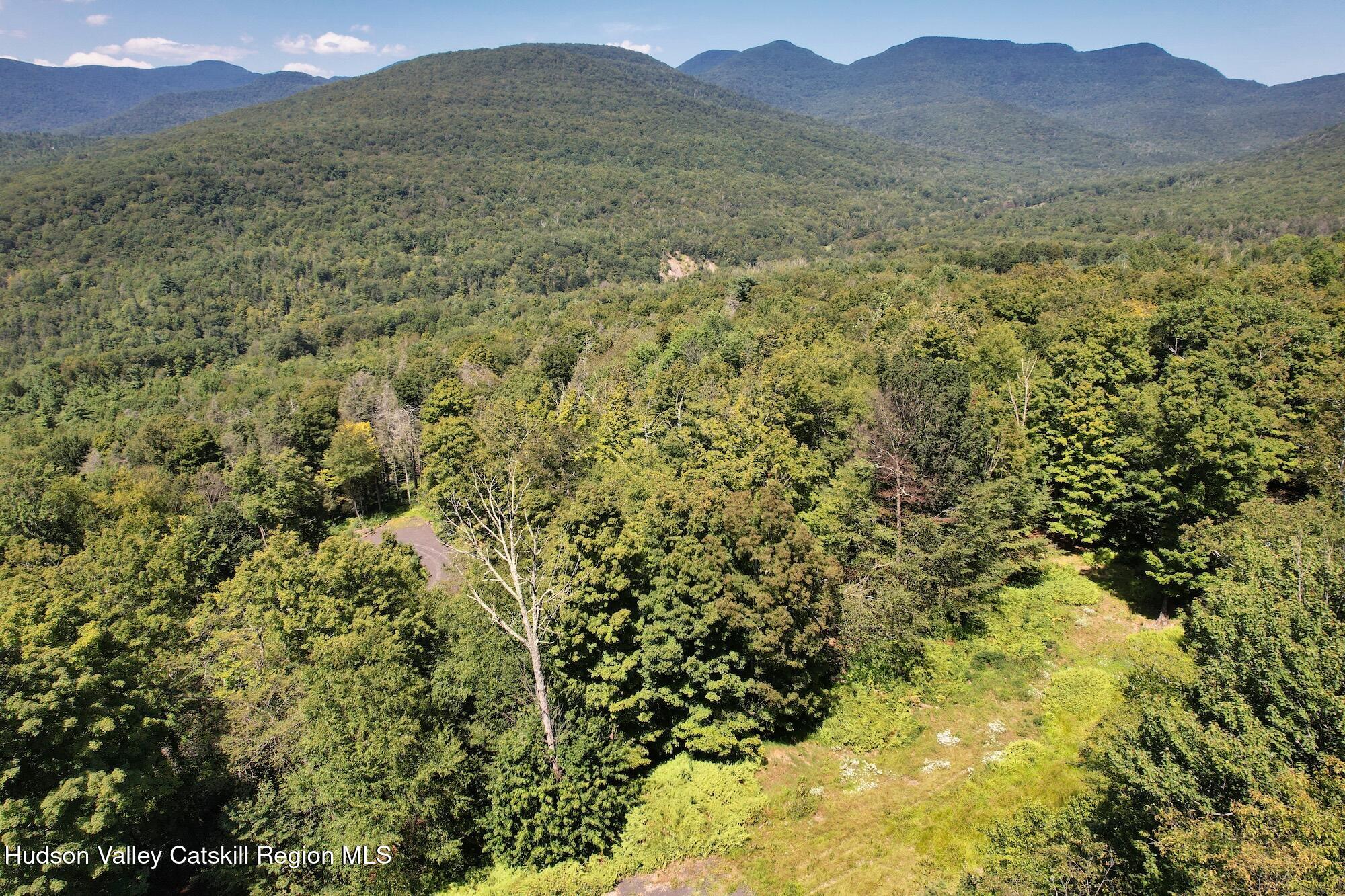 Tbd Macdaniel Road Woodstock, NY 12498 - Photo 13 of 17 a view of a lush green hillside and a mountain