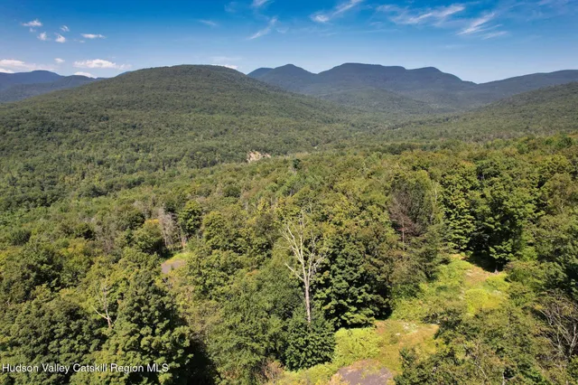a view of a lush green hillside and a building
