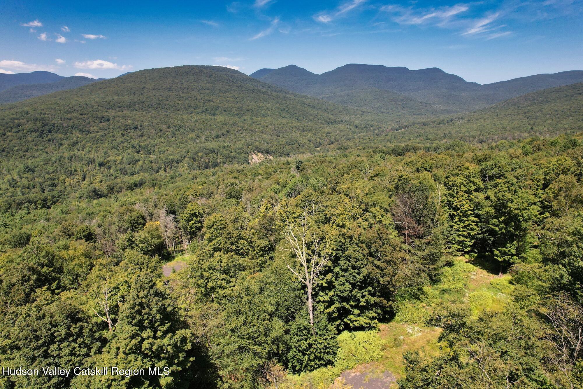 Tbd Macdaniel Road Woodstock, NY 12498 - Photo 14 of 17 a view of a lush green hillside and a building
