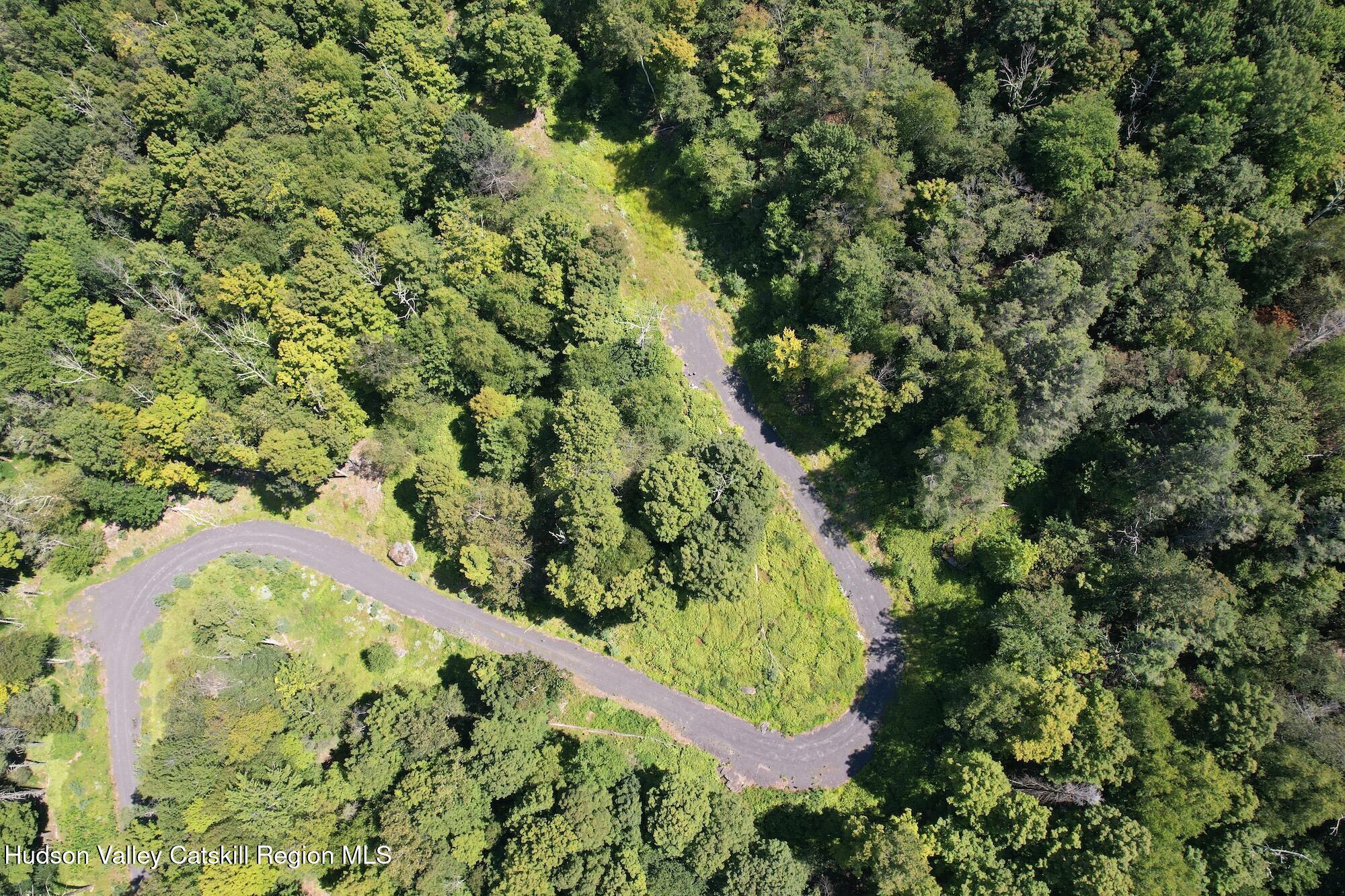Tbd Macdaniel Road Woodstock, NY 12498 - Photo 3 of 17 a view of a forest with a tree