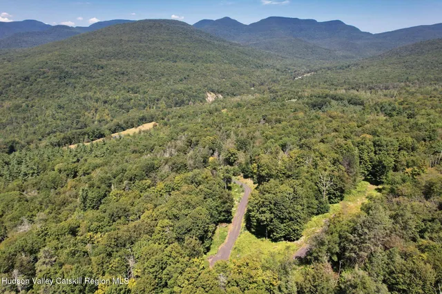 a view of a lush green hillside and a mountain