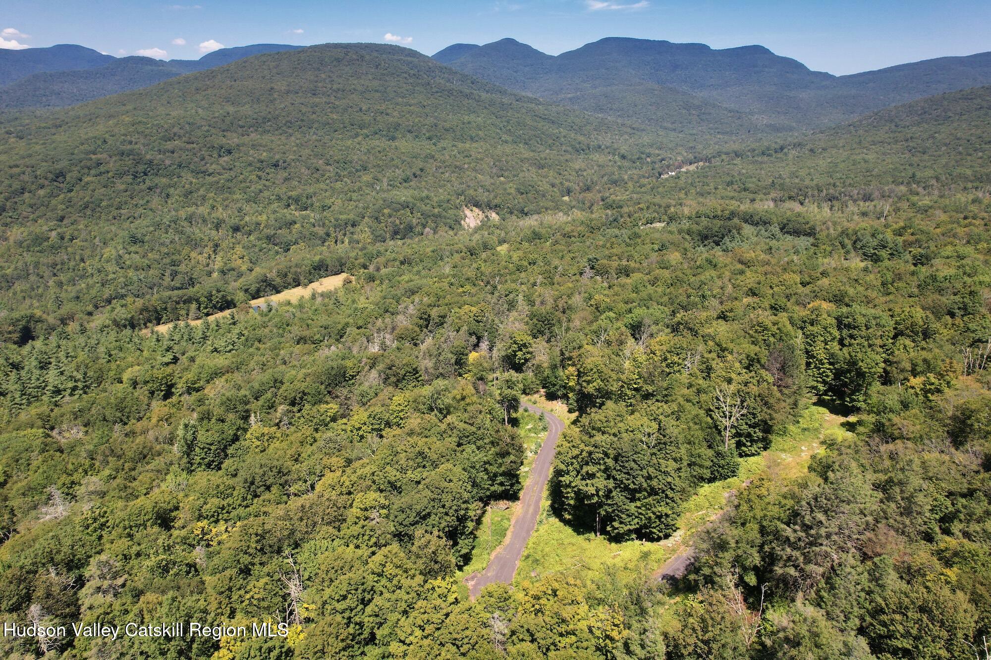 Tbd Macdaniel Road Woodstock, NY 12498 - Photo 5 of 17 a view of a lush green hillside and a mountain