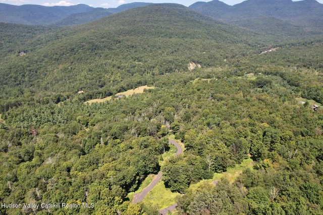 a view of a lush green hillside and houses