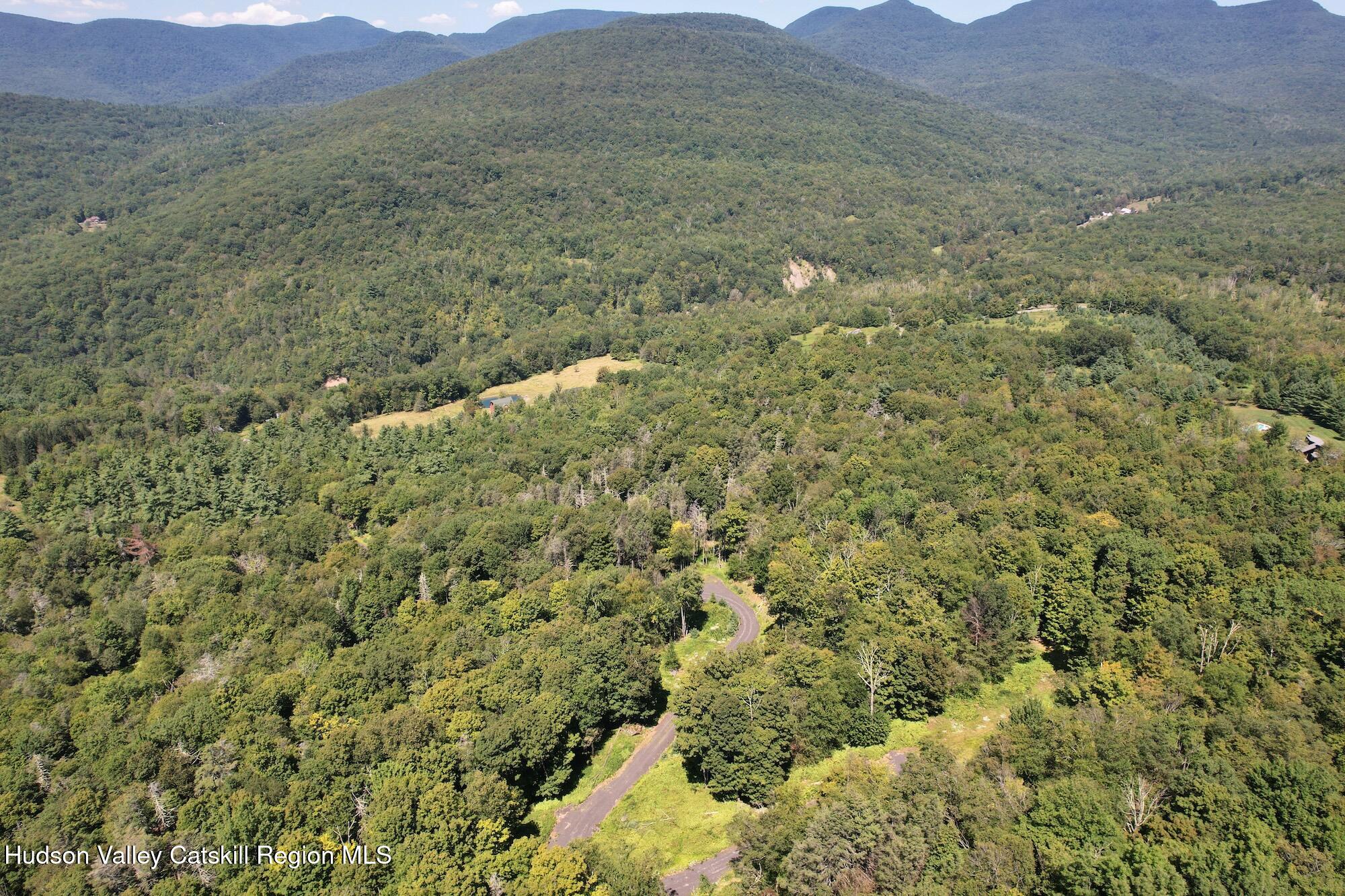 Tbd Macdaniel Road Woodstock, NY 12498 - Photo 6 of 17 a view of a lush green hillside and houses