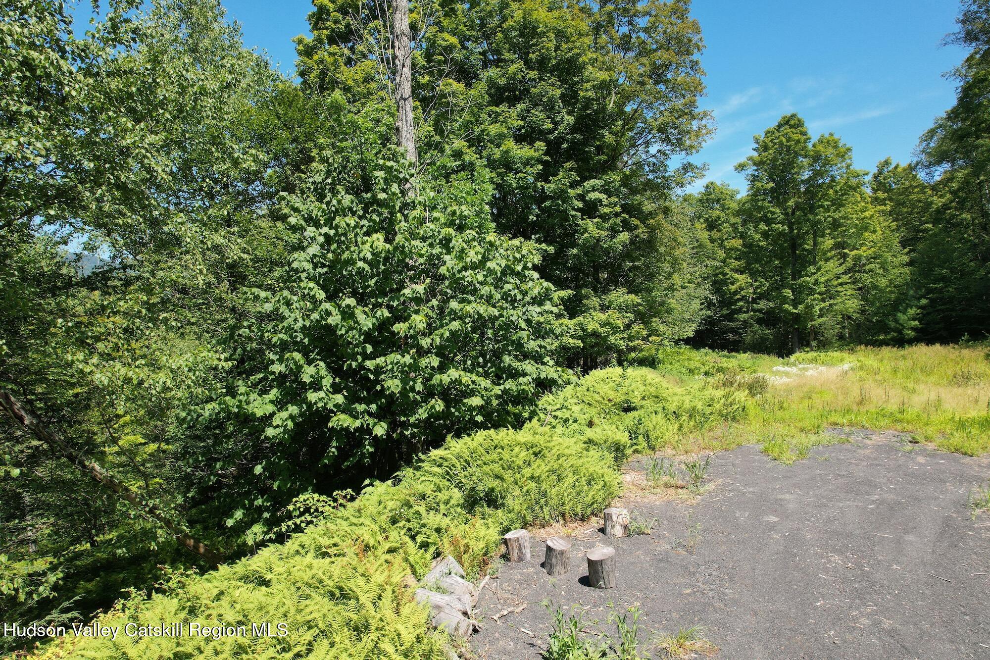 Tbd Macdaniel Road Woodstock, NY 12498 - Photo 7 of 17 a view of a garden with plants