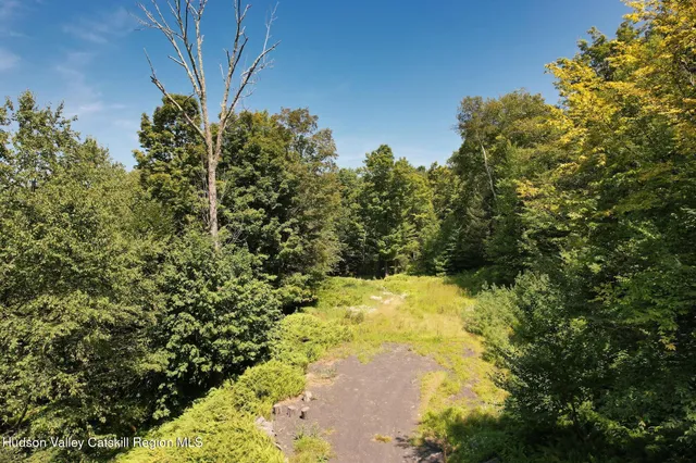a view of a yard with trees