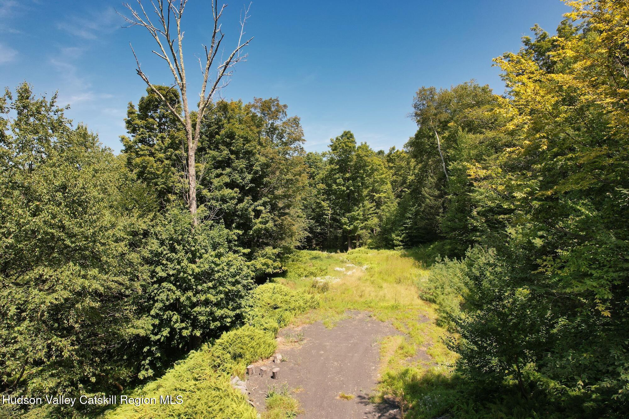 Tbd Macdaniel Road Woodstock, NY 12498 - Photo 10 of 17 a view of a yard with trees