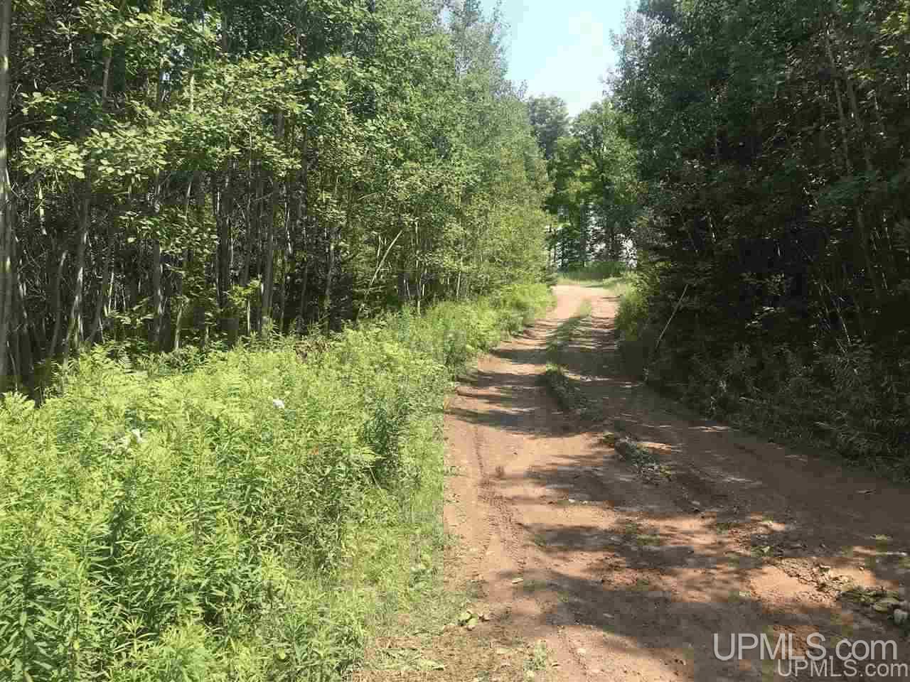Tbd Off Nowack Road, Unit 1 Powers, MI 49874 - Photo 23 of 32
