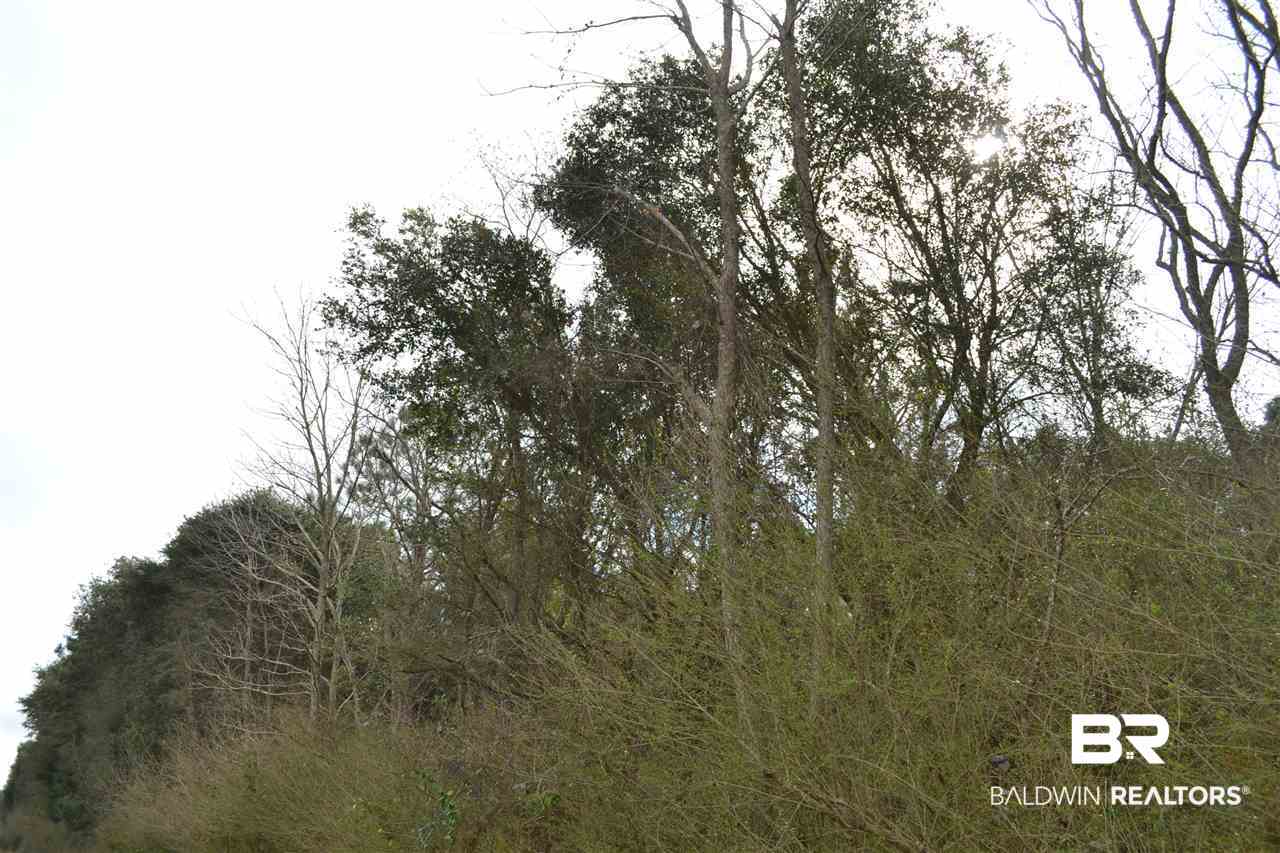 0 Mohr Lane Elberta, AL 36530 - Photo 14 of 15
