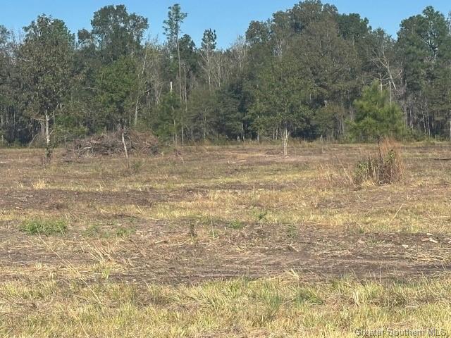 0 Conway Rosteet Road Ragley, LA 70657 - Photo 12 of 15