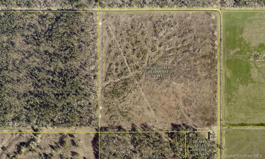 0 Conway Rosteet Road Ragley, LA 70657 - Photo 15 of 15