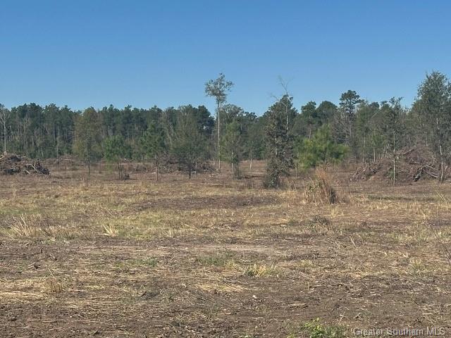 0 Conway Rosteet Road Ragley, LA 70657 - Photo 5 of 15
