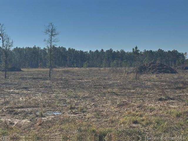 0 Conway Rosteet Road Ragley, LA 70657 - Photo 8 of 15