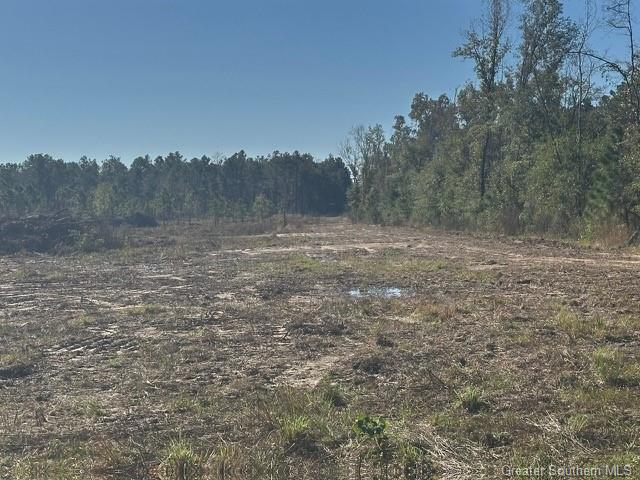 0 Conway Rosteet Road Ragley, LA 70657 - Photo 9 of 15