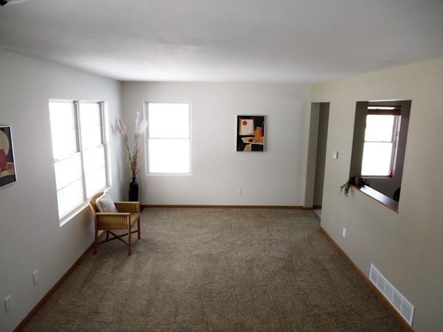 212 Windmill Drive Rochelle, IL 61068 - Photo 4 of 14