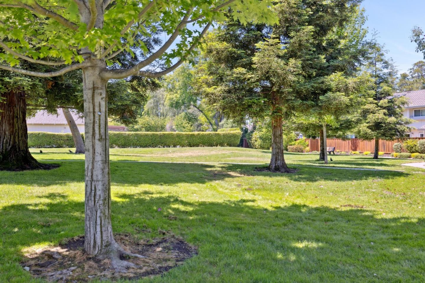 10892 Northfield Square Cupertino, CA 95014 - Photo 54 of 78 a view of a park with large trees