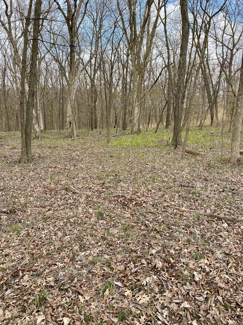 a view of outdoor space with trees