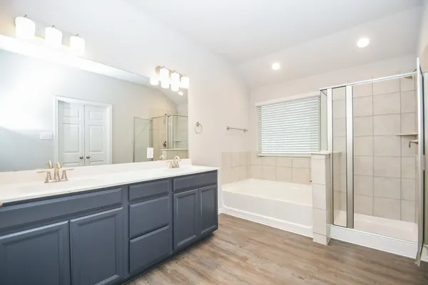 a bathroom with a tub sink double vanity and a mirror