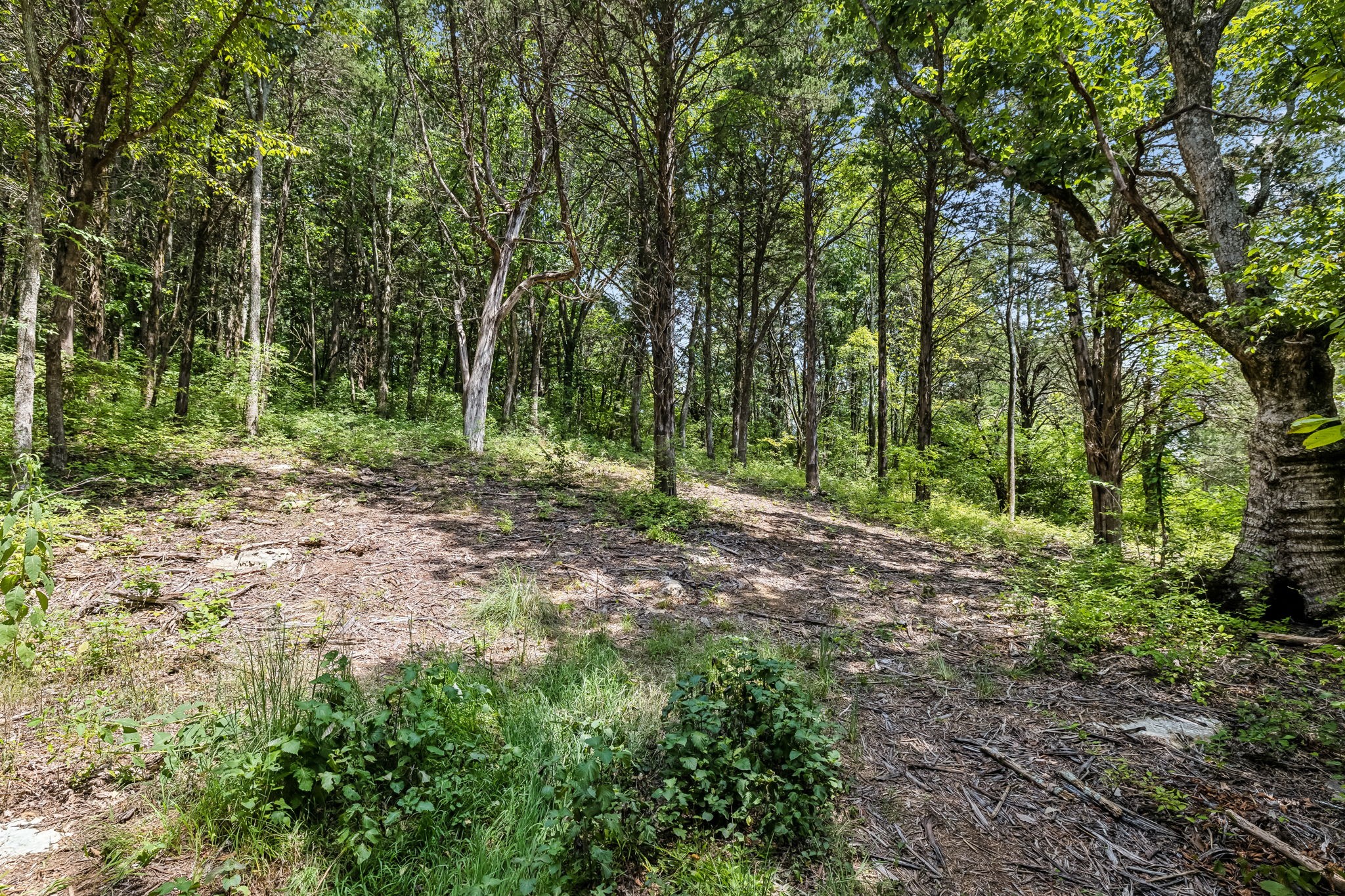 0 Gower Road Nashville, TN 37209 - Photo 5 of 21 Gallery Image 5
