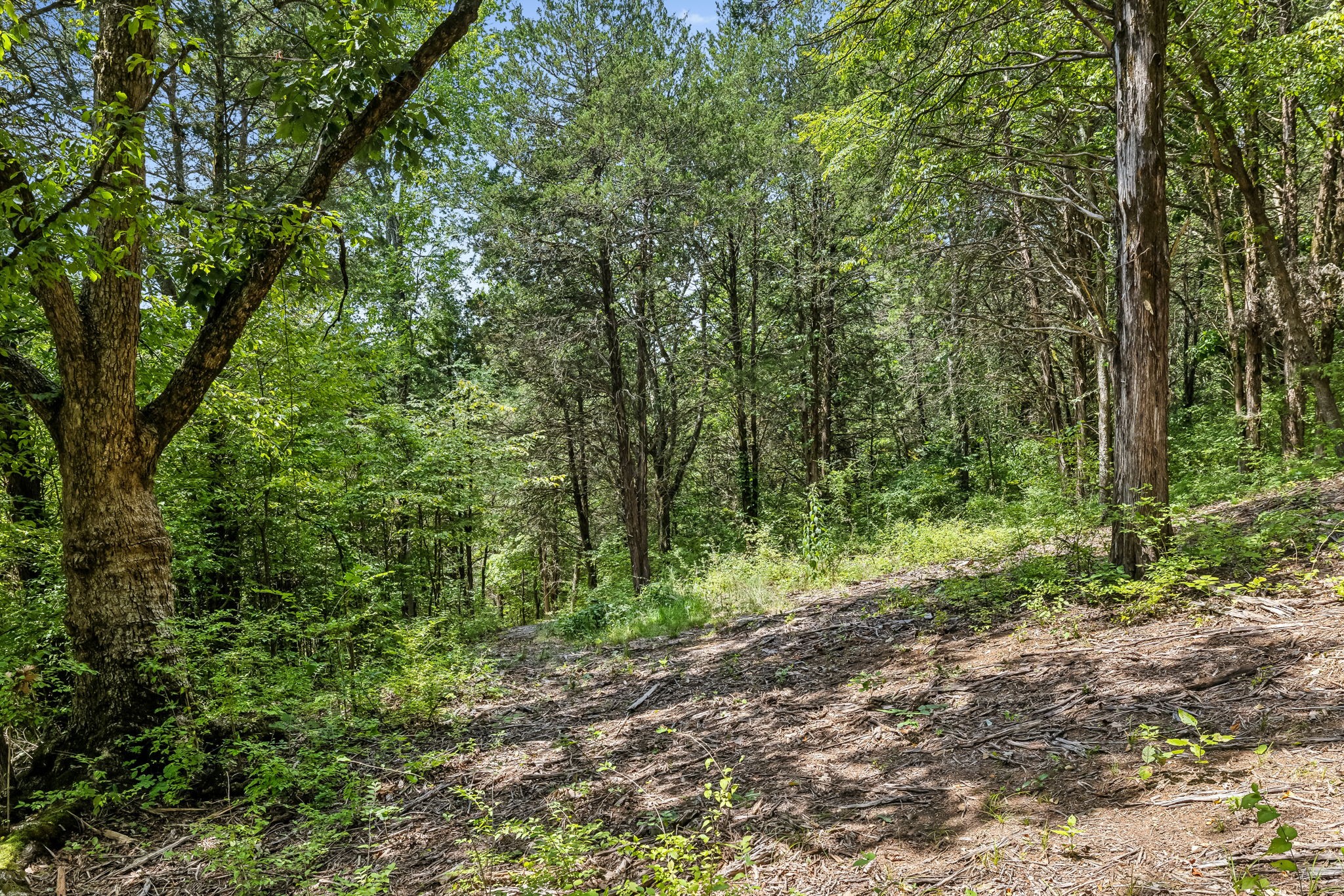 0 Gower Road Nashville, TN 37209 - Photo 7 of 21 Gallery Image 7