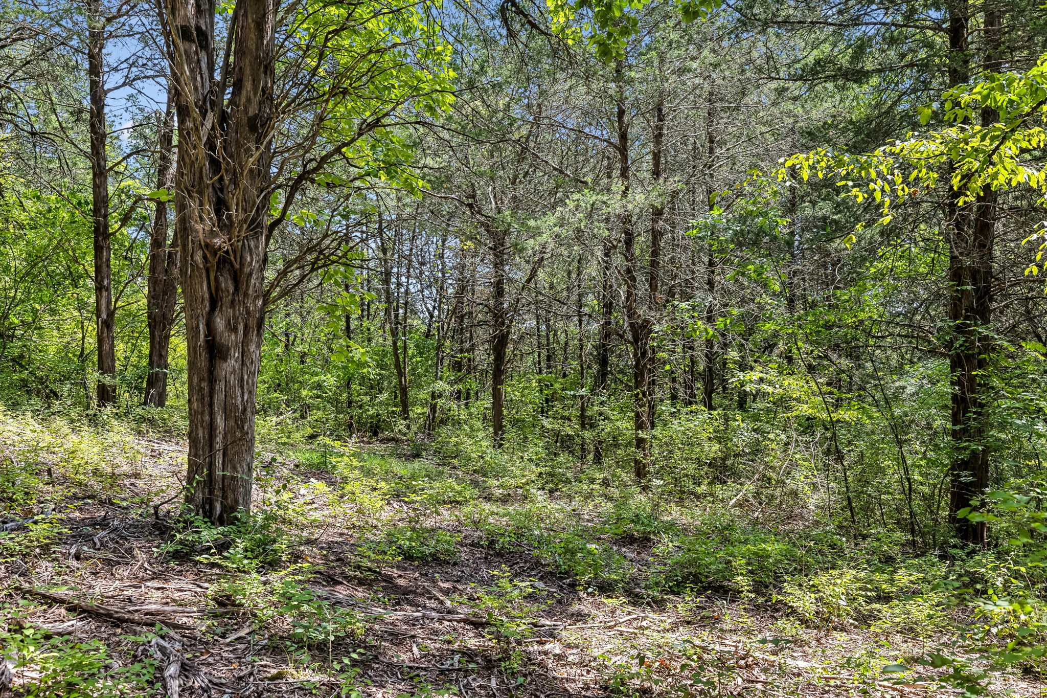 0 Gower Road Nashville, TN 37209 - Photo 8 of 21 Gallery Image 8