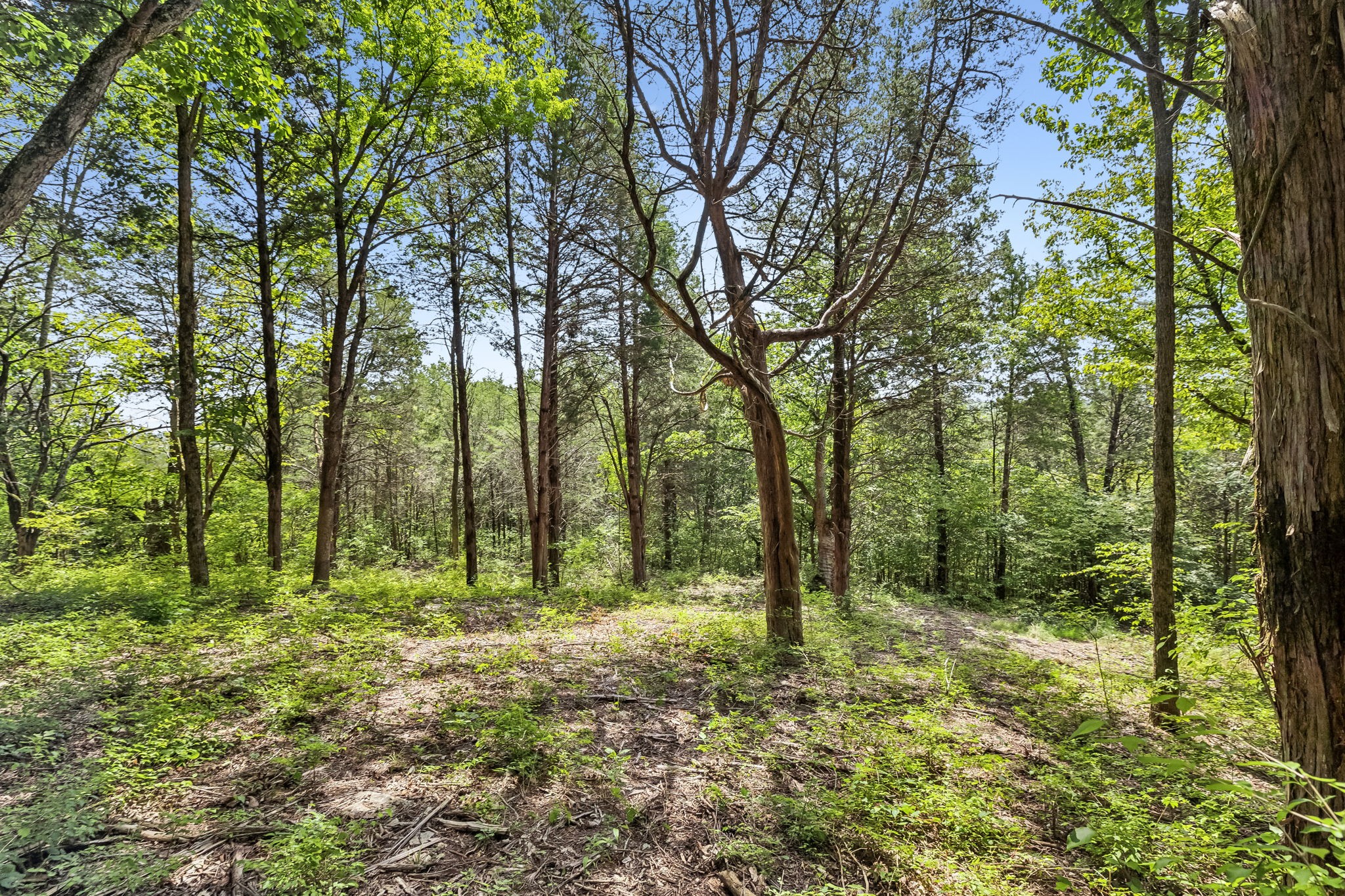 0 Gower Road Nashville, TN 37209 - Photo 9 of 21 Gallery Image 9