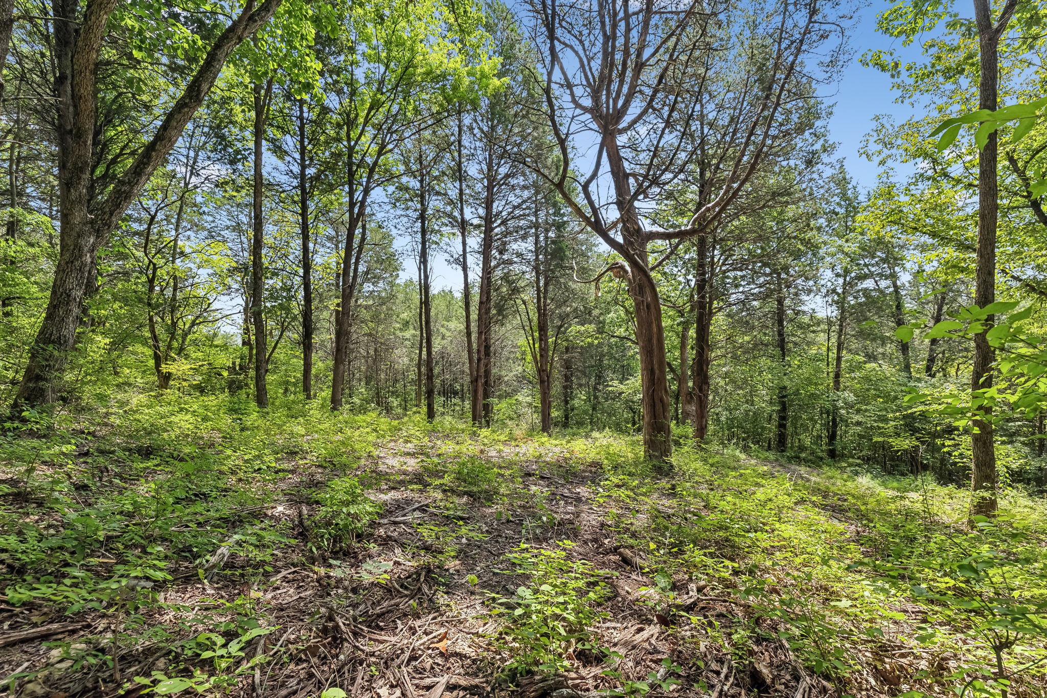 0 Gower Road Nashville, TN 37209 - Photo 10 of 21 Gallery Image 10
