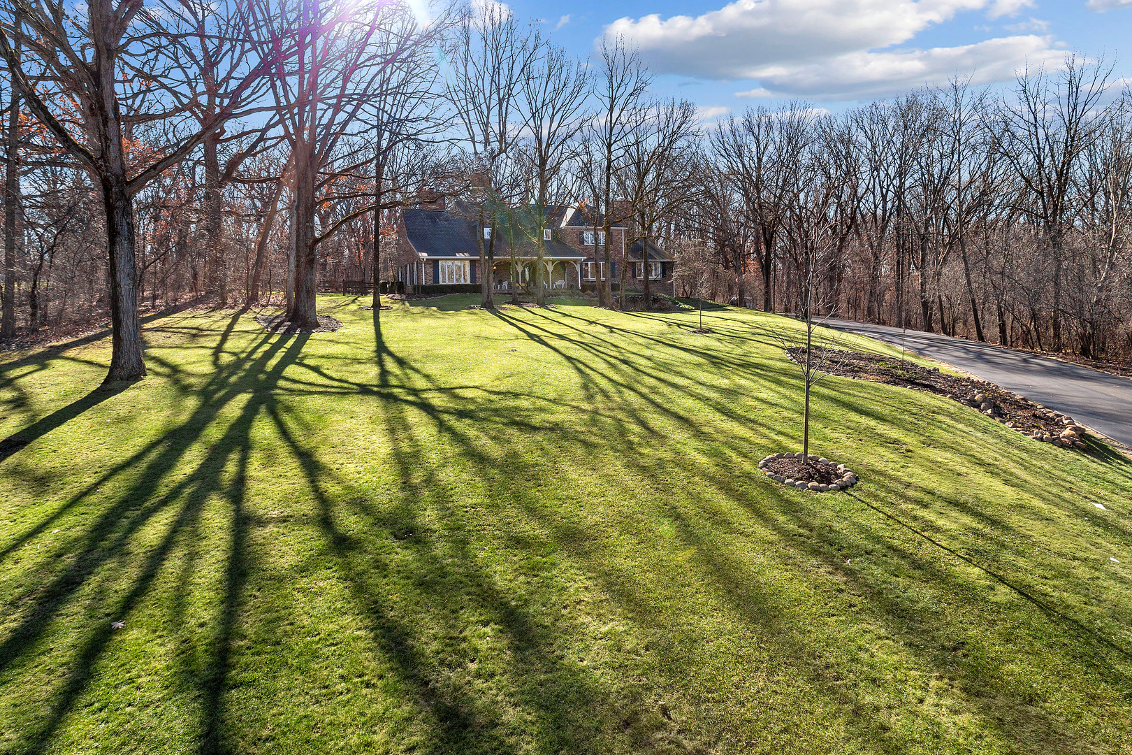 43 Ramsgate Drive Palos Park, IL 60464 - Photo 4 of 50 a view of swimming pool with a yard and trees