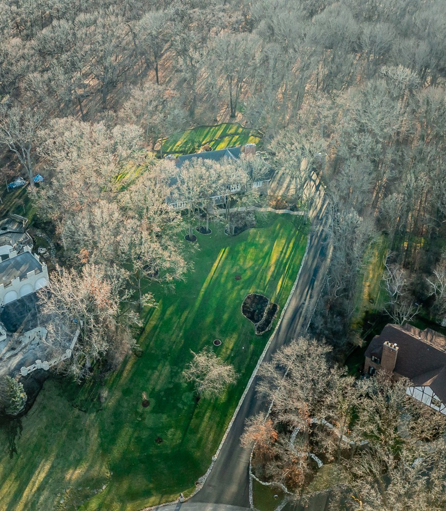 43 Ramsgate Drive Palos Park, IL 60464 - Photo 6 of 50 a view of a yard with plants