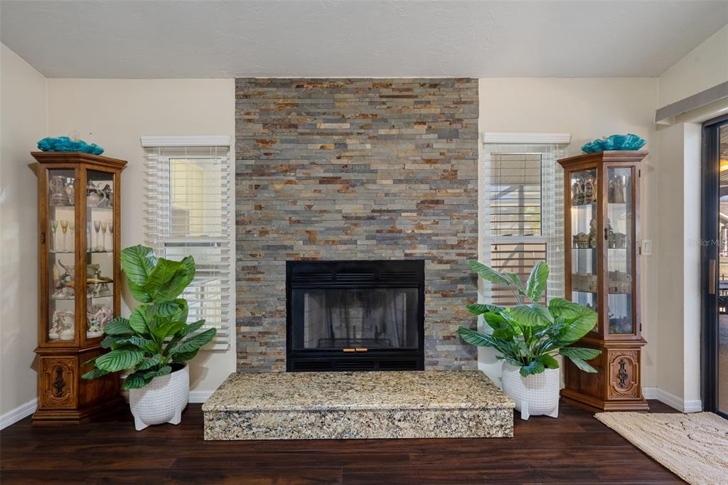 10421 Templewood Court Spring Hill, FL 34608 - Photo 19 of 63 a living room with a potted plant and a fireplace