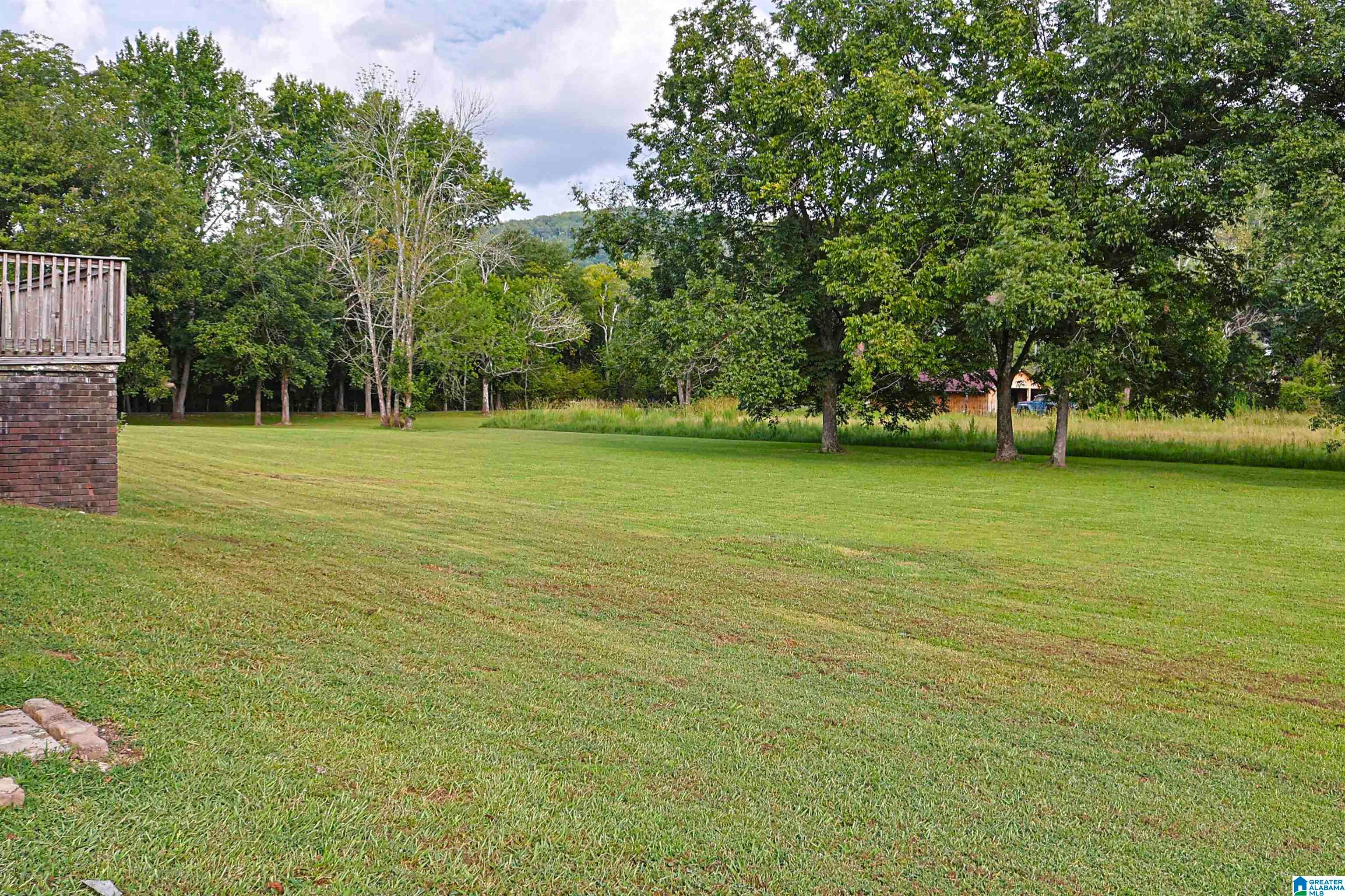 5149 Green Valley Road Southside, AL 35907 - Photo 52 of 74 Gallery Image 52