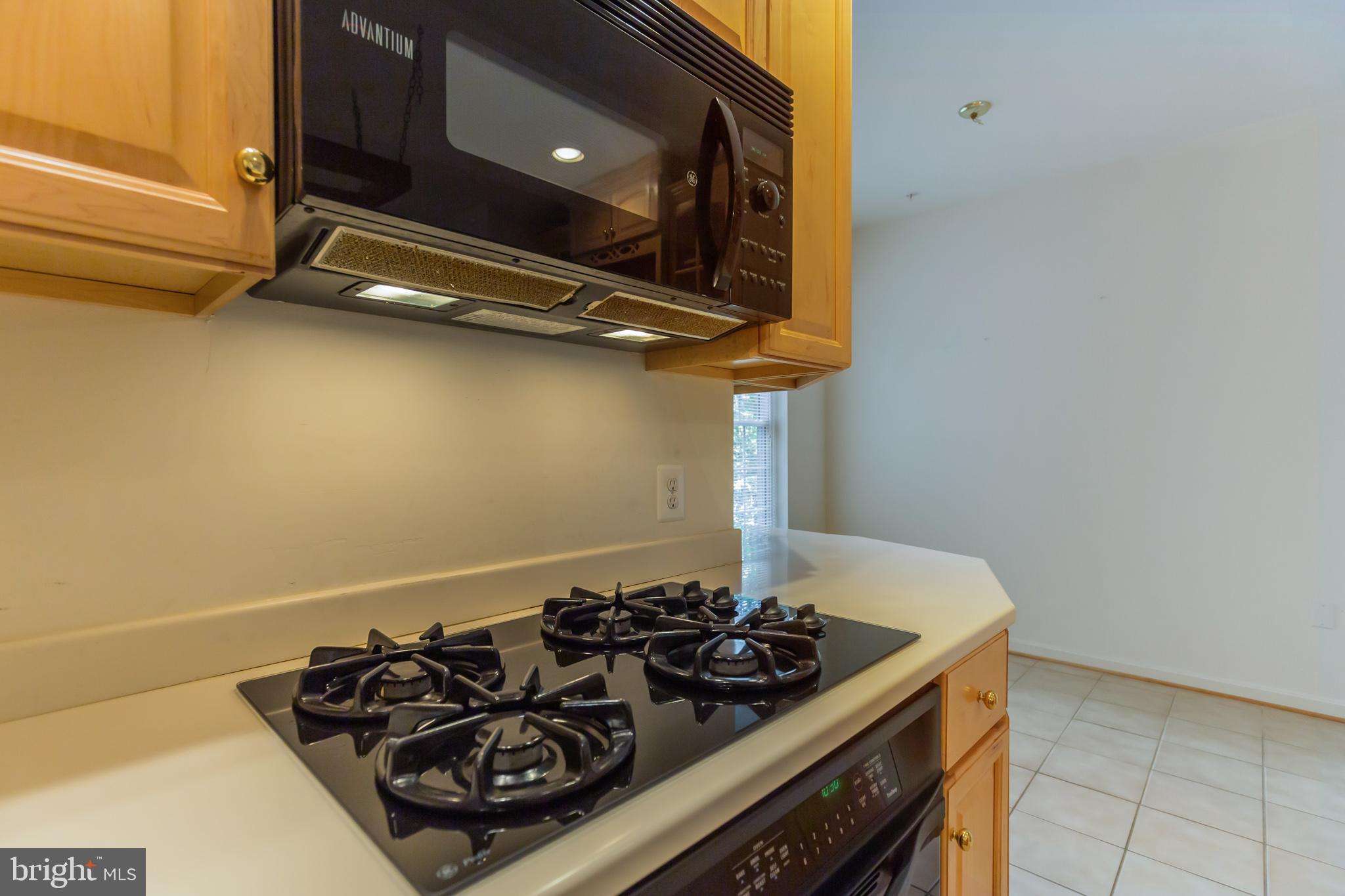 605 Runabout Loop Solomons, MD 20688 - Photo 12 of 31 Gas stove