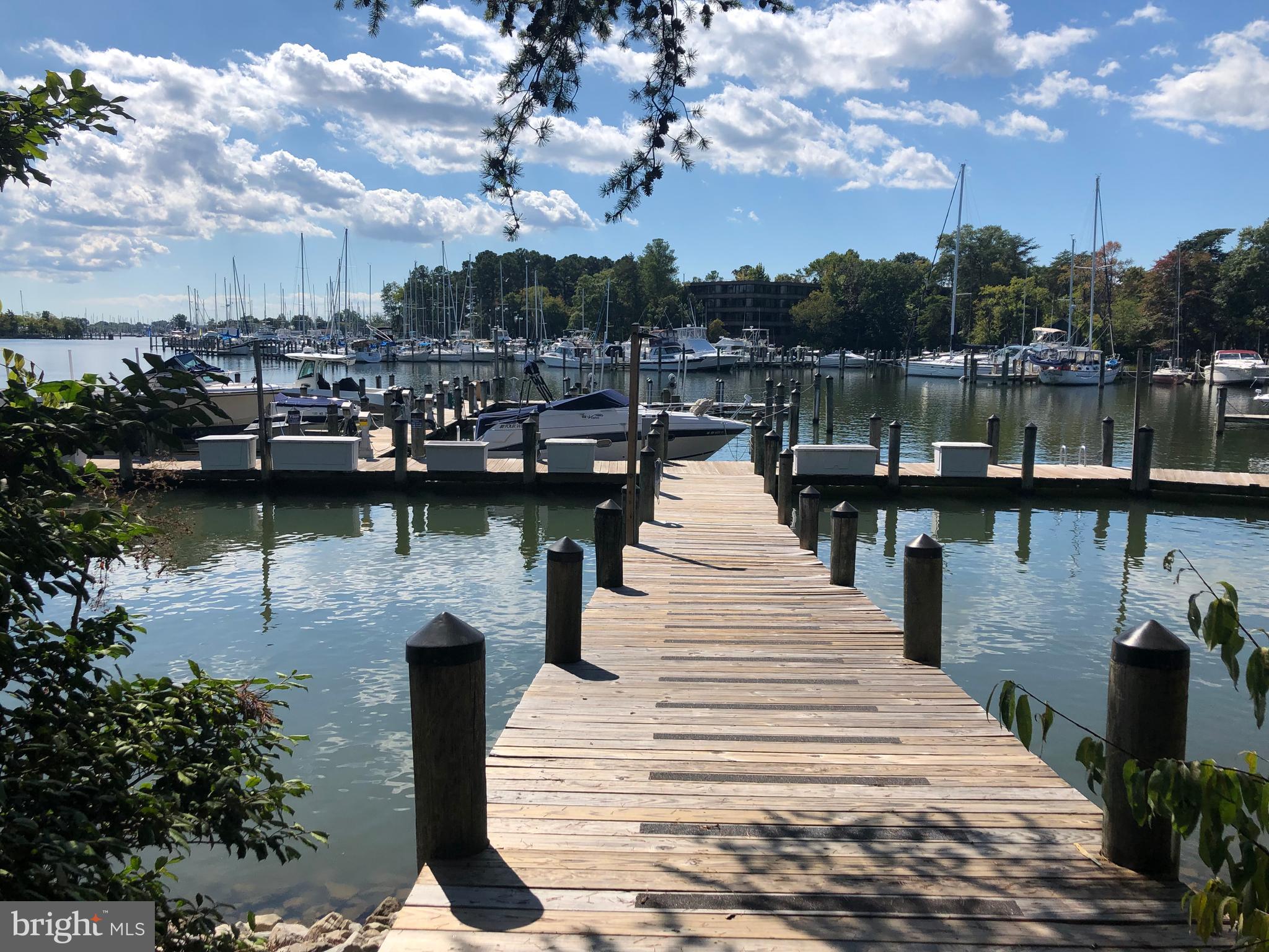 605 Runabout Loop Solomons, MD 20688 - Photo 5 of 31 View of the marina