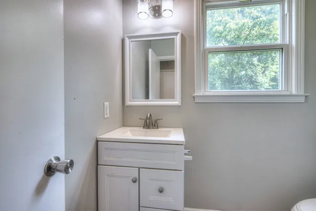 a bathroom with a sink a vanity and a toilet